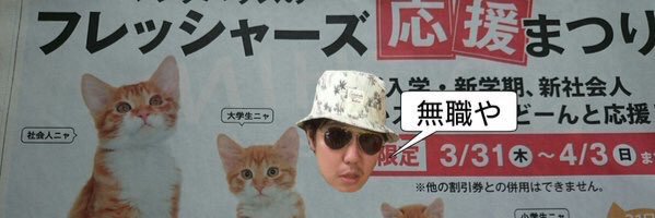 pachelnov's profile banner image