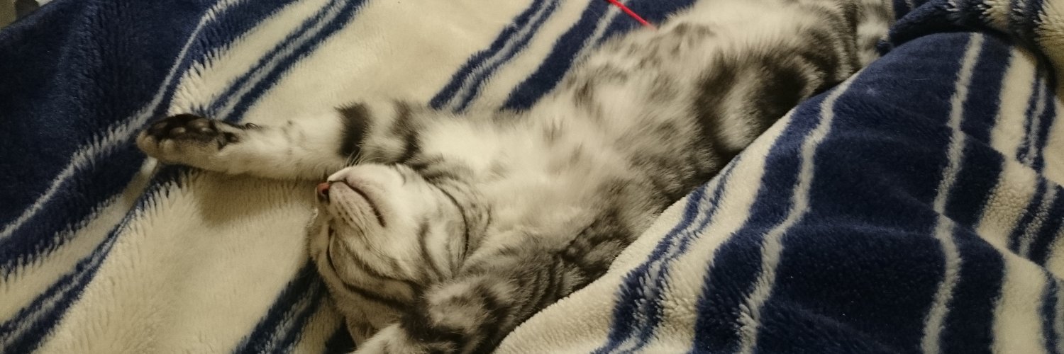 neko222.blockchain | ETHGas ⛽ banner