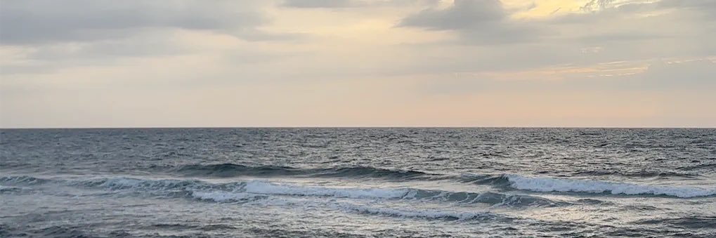 lrenal_'s profile banner image