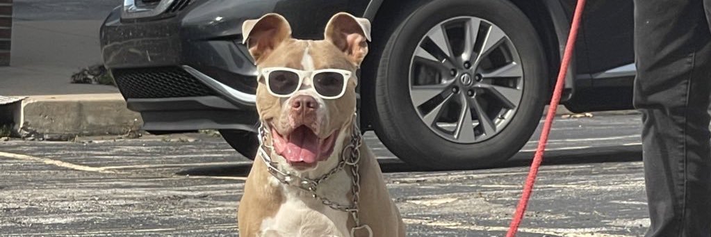 Central Intelligence Agentry banner