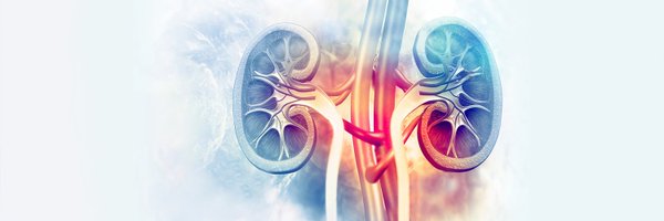 StrategyCKD Profile Banner