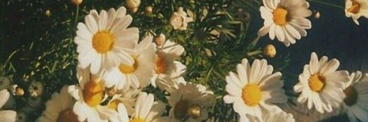 sadhiabl's profile banner image
