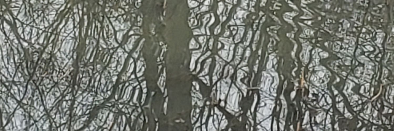 Shellyea615's profile banner image