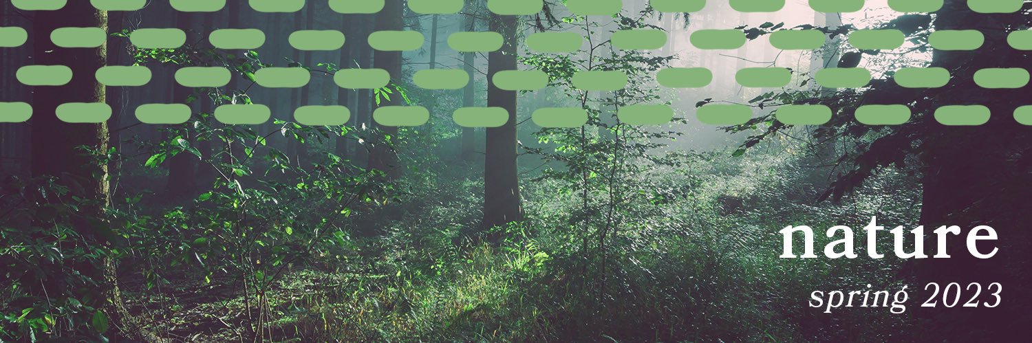 Working Draft banner