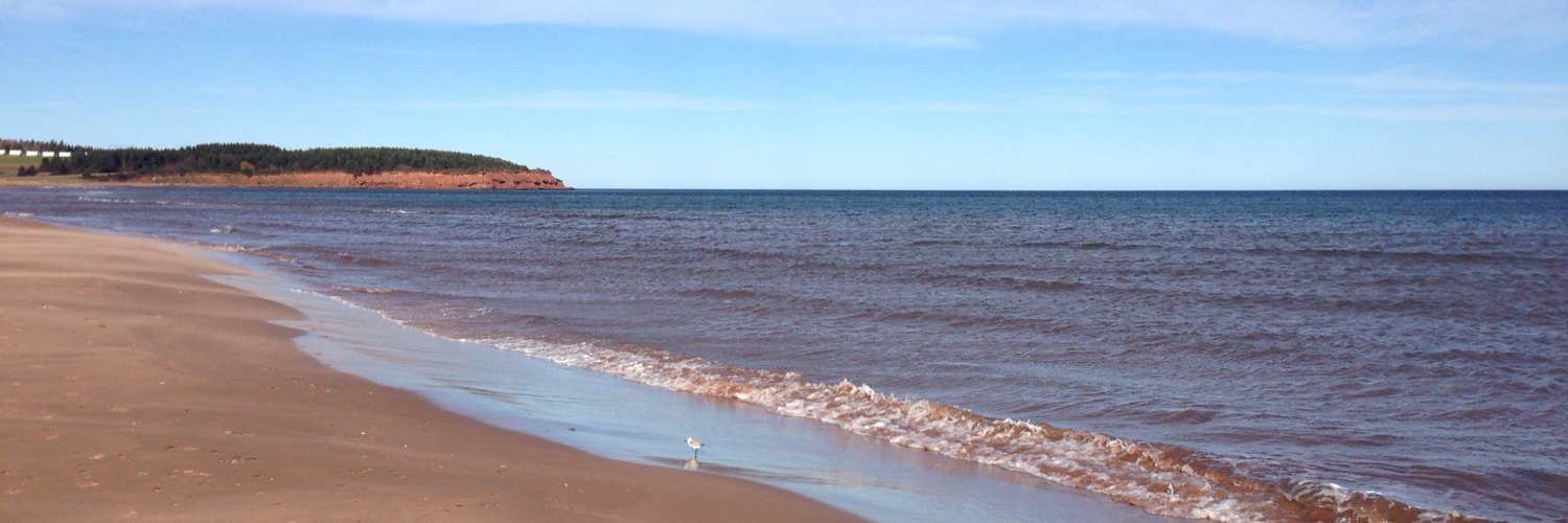 StaceyWyand's profile banner image