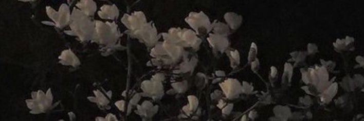 agosdirocco_'s profile banner image
