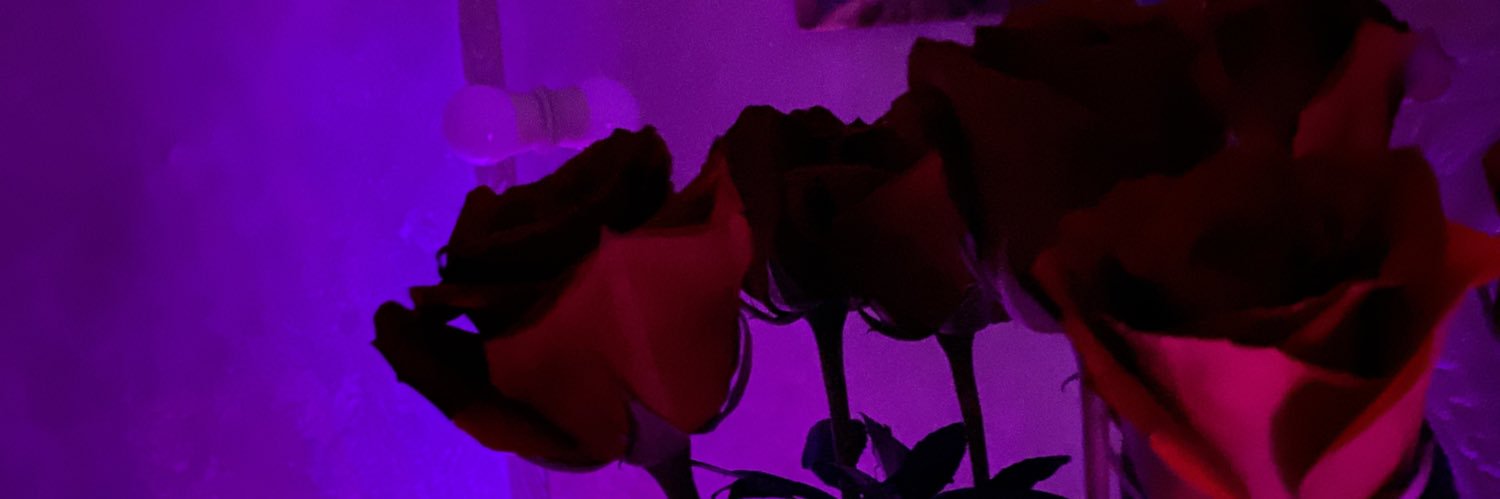 yuliashaya's profile banner image