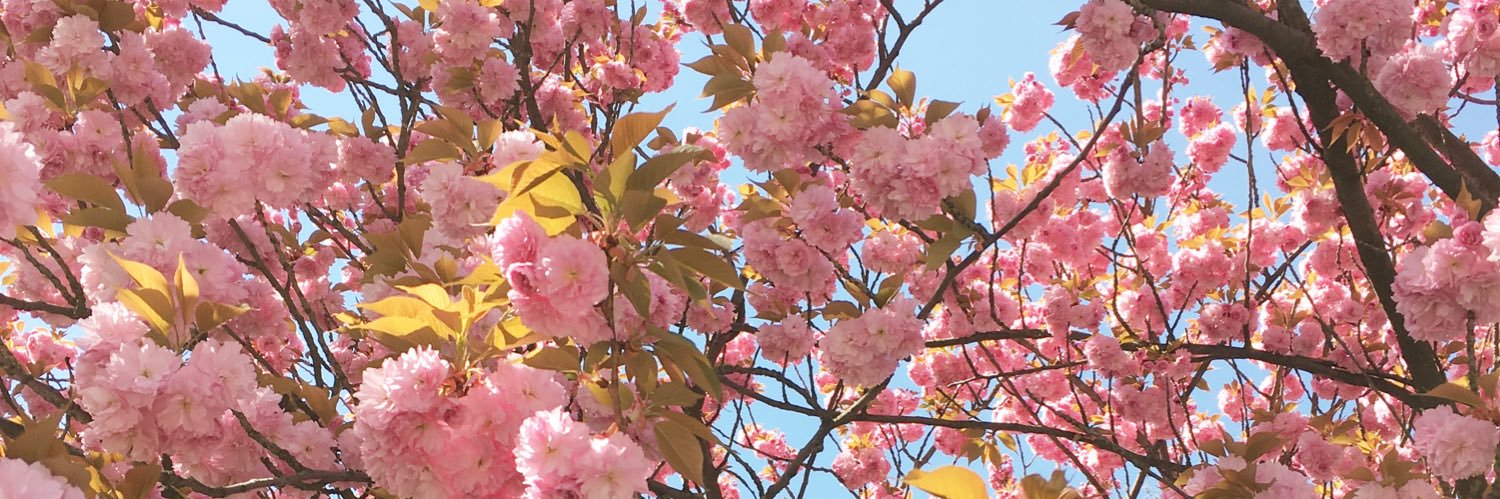 Julia 💞✨ banner
