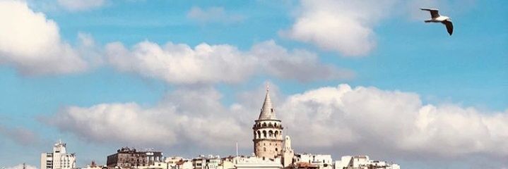salihasn's profile banner image