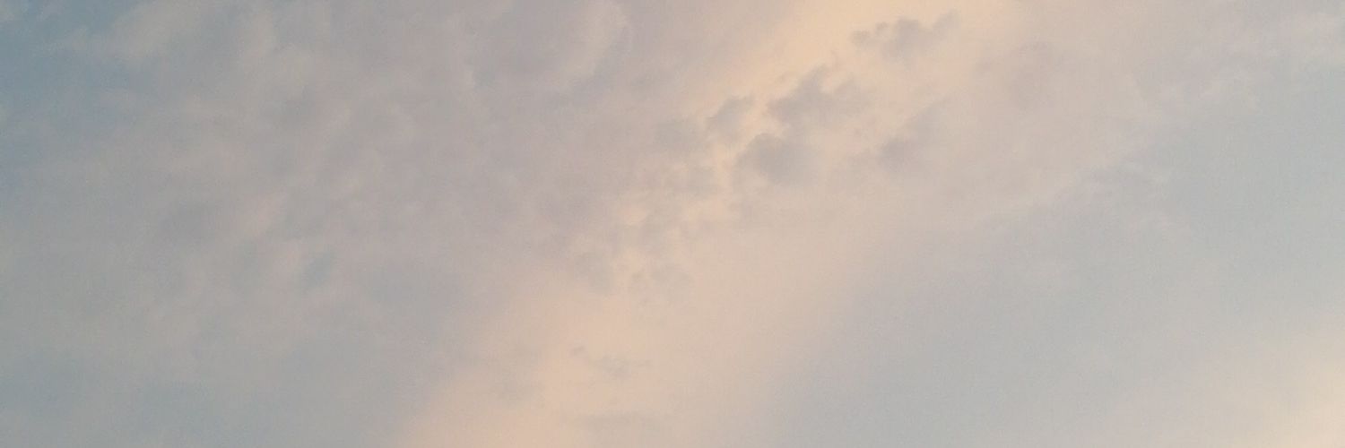 pudupudinn's profile banner image