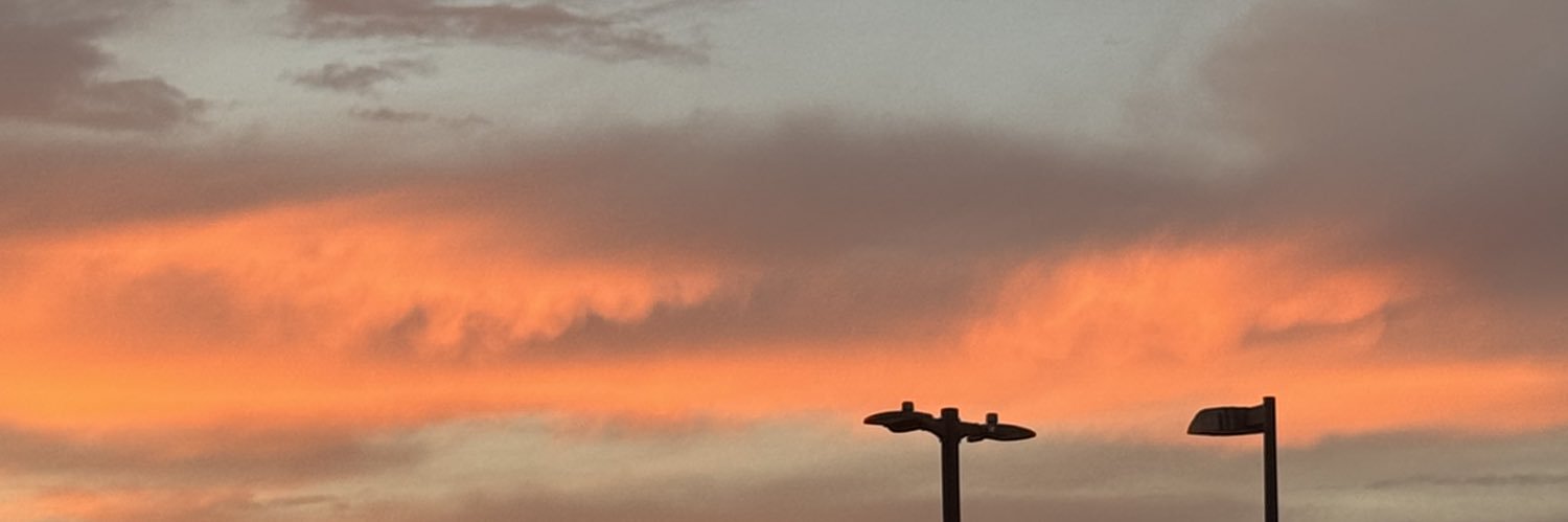asaidene9's profile banner image