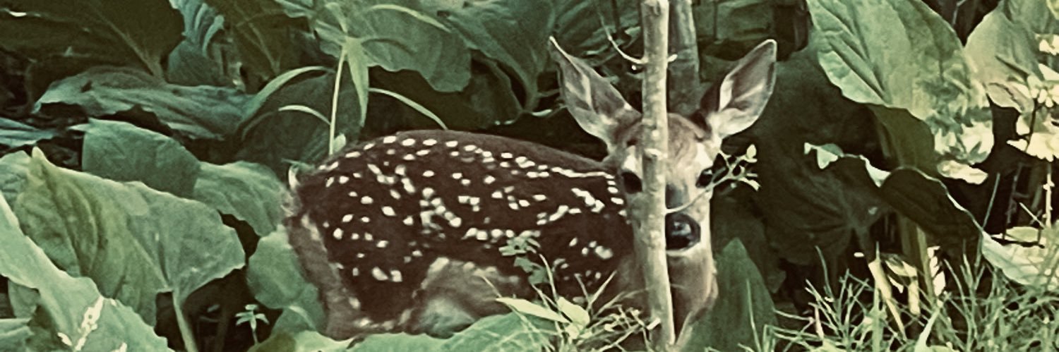 RealtyCooks's profile banner image