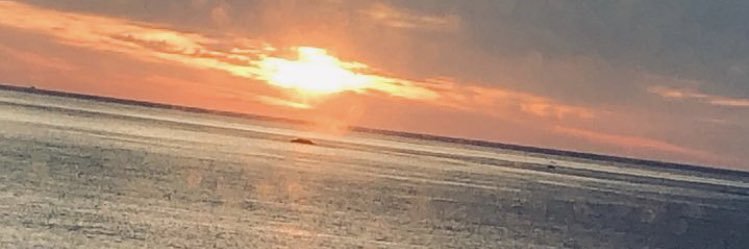 💫✨mocarinrin✨💫 banner