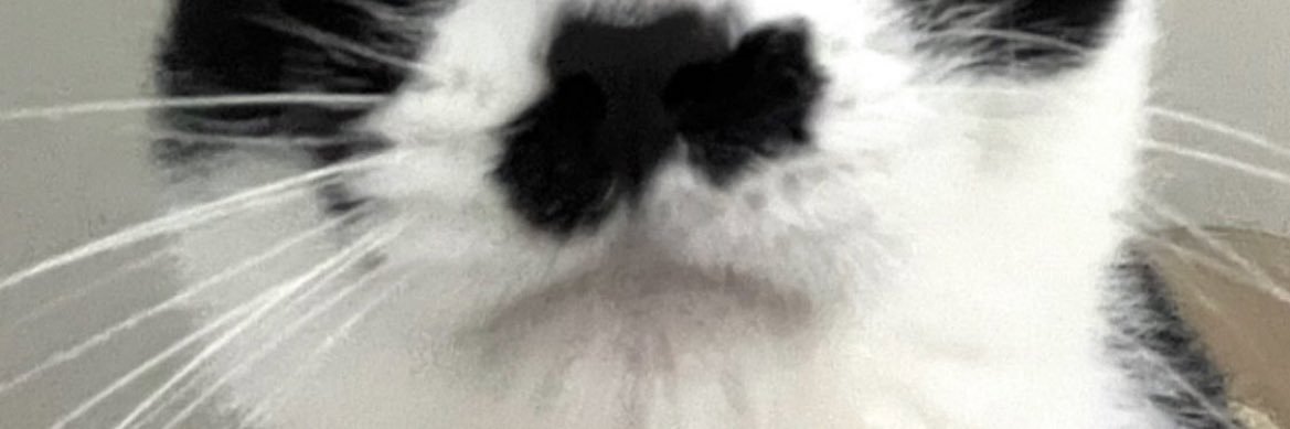 warwar_r_'s profile banner image