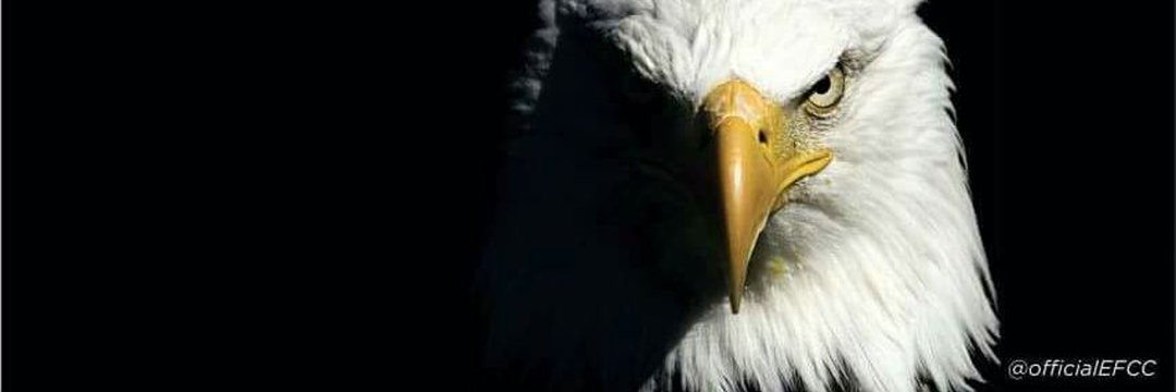 AbokiFahad's profile banner image