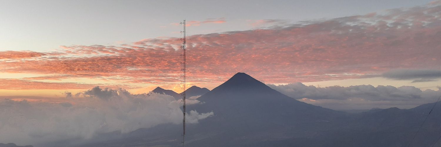CarlottaMontorsi banner