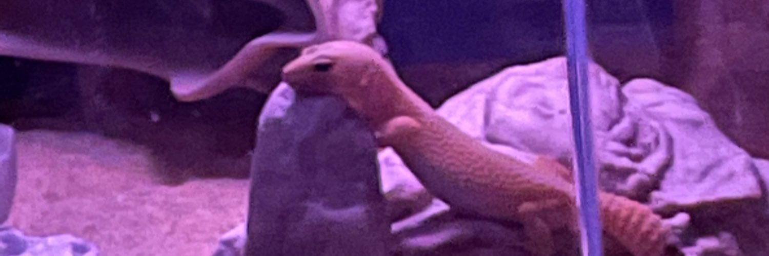 JonnyAlbright01's profile banner image