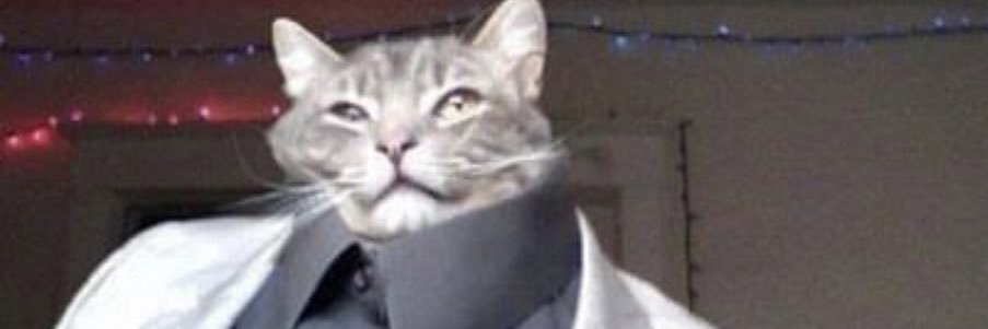 Mathack5's profile banner image