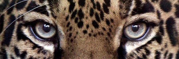 aafrijd's profile banner image