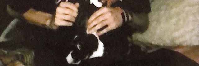 SugarFreeTracy's profile banner image