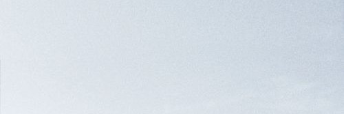 ren 🪷 banner
