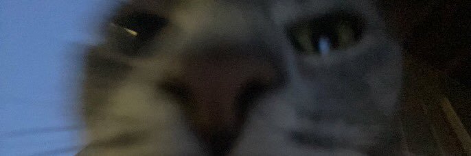 QuiddityQuerent's profile banner image