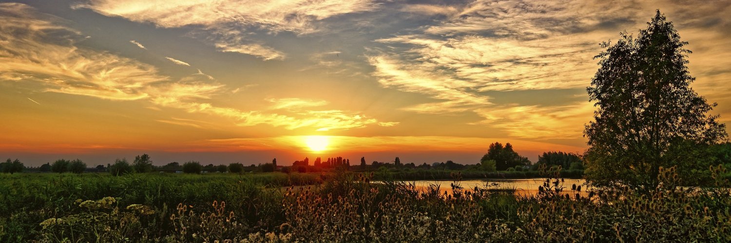 tulublin's profile banner image