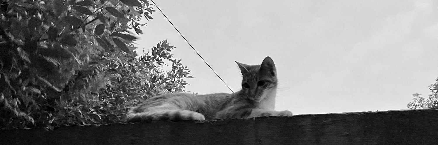 jazschi's profile banner image