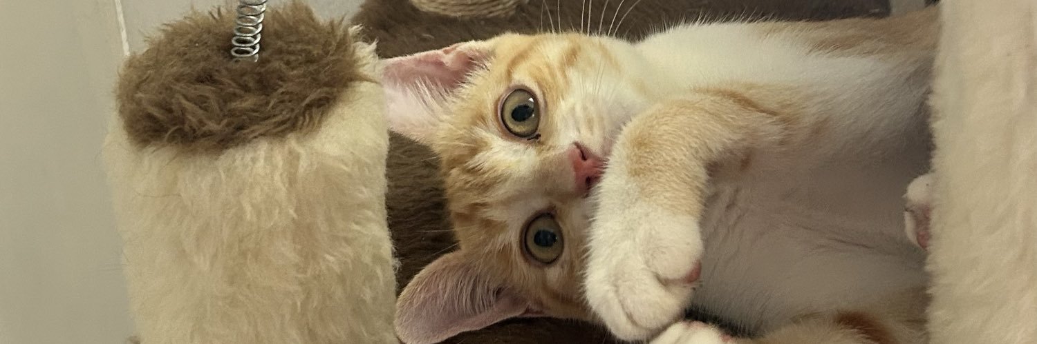 malikclau_'s profile banner image