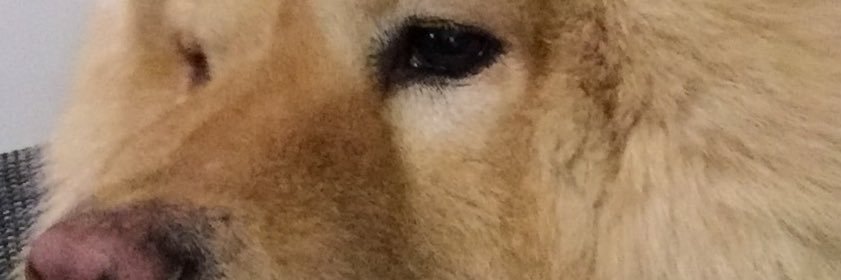 AlexPadthai's profile banner image
