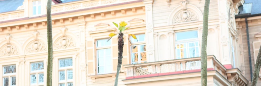 koikonmayu's profile banner image