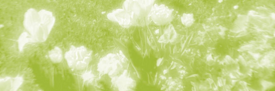 vivibxt's profile banner image