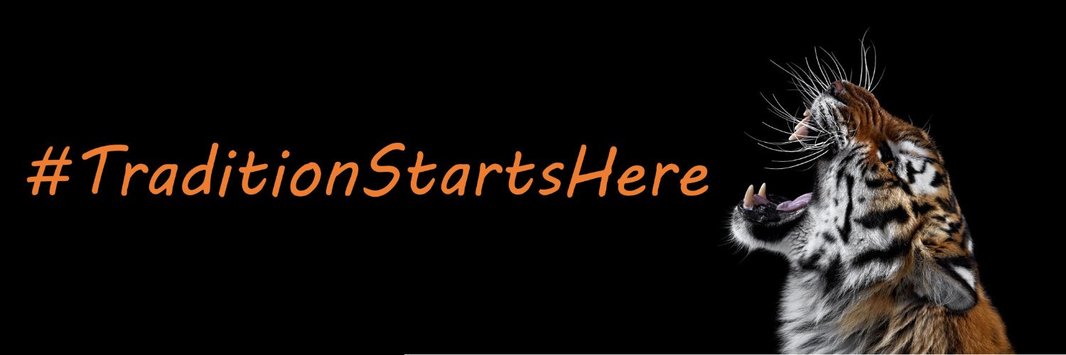 bdhstigerstandf's profile banner image