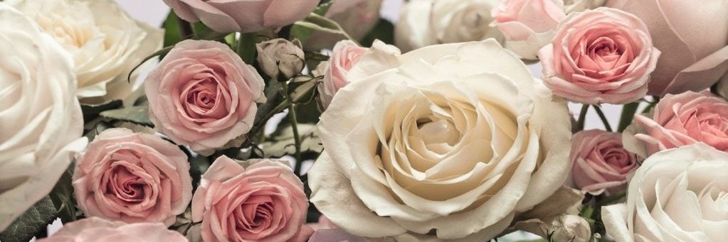 QueenDahlRose's profile banner image
