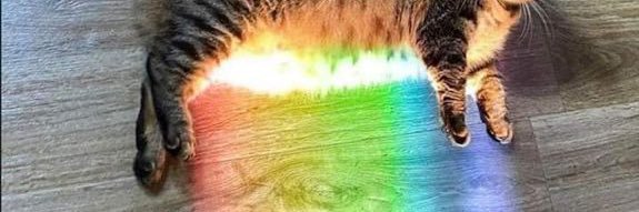 Gildarch12's profile banner image