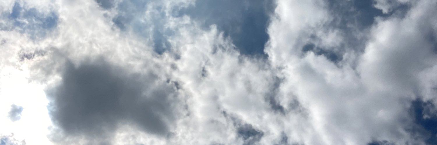 lehfr_'s profile banner image