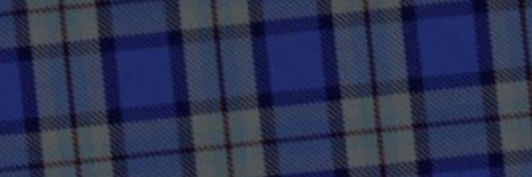 lisadoolan6 Profile Banner