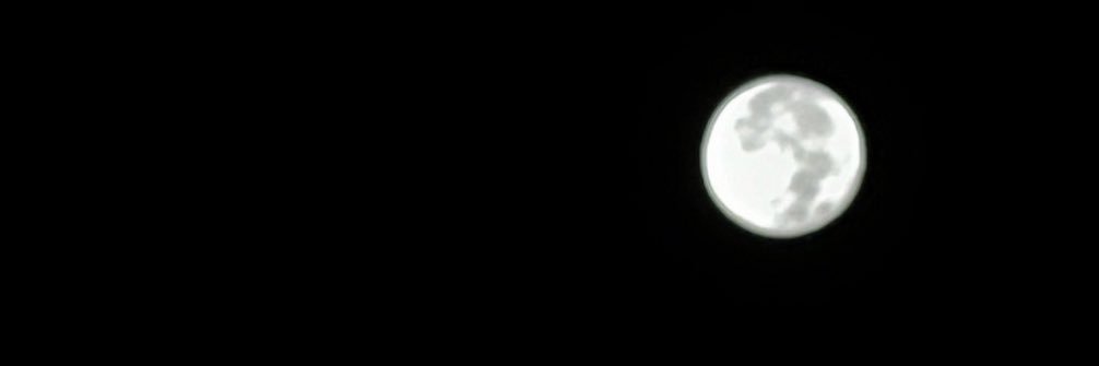 ___meme_216's profile banner image