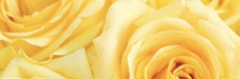 nasjnasj's profile banner image