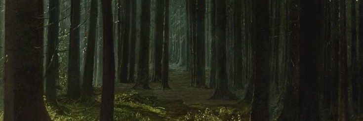 acnhwitch's profile banner image