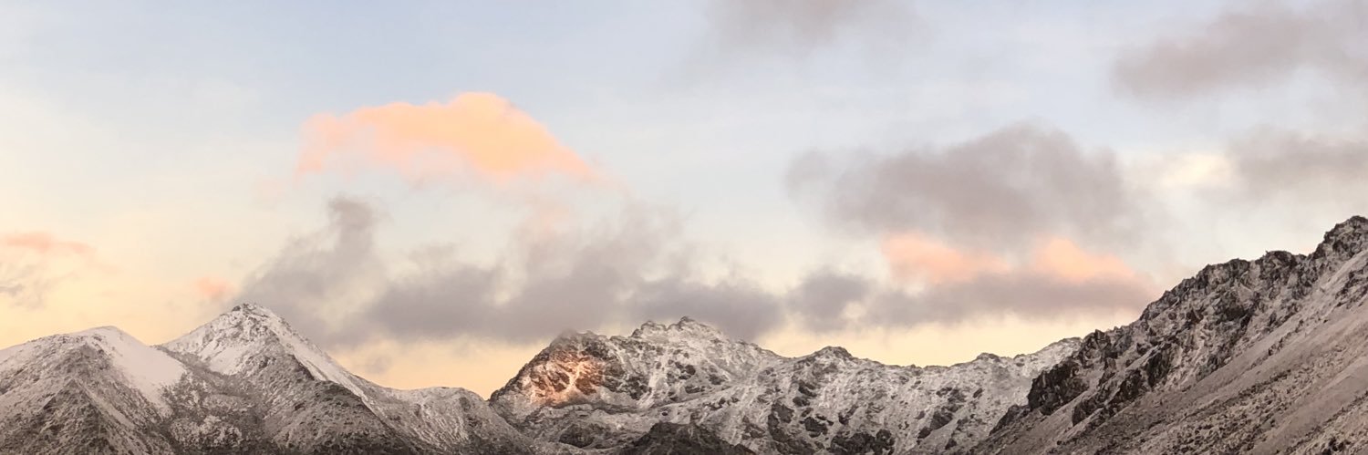 doricapitelli's profile banner image