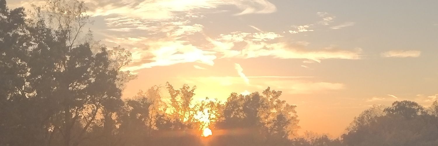 Mebao3's profile banner image