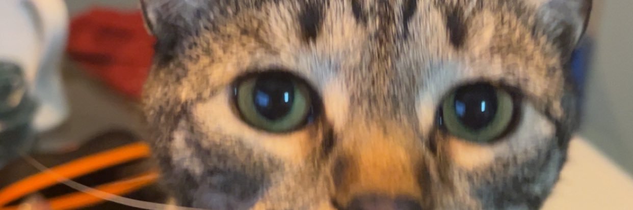 shawtylvke's profile banner image