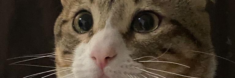 kalm2023's profile banner image