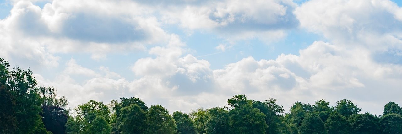 papurikanoha's profile banner image