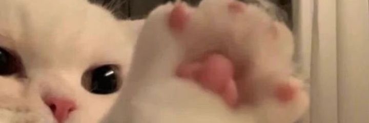 saudadess1's profile banner image