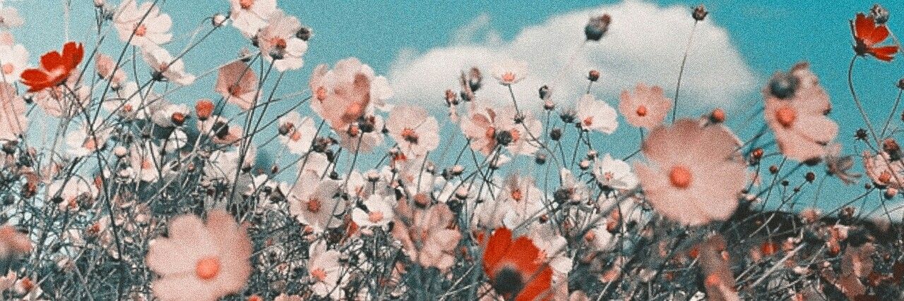 Mabyvasquez1's profile banner image