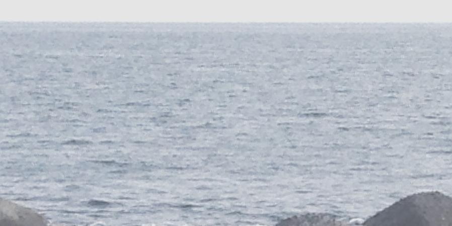 masao02's profile banner image