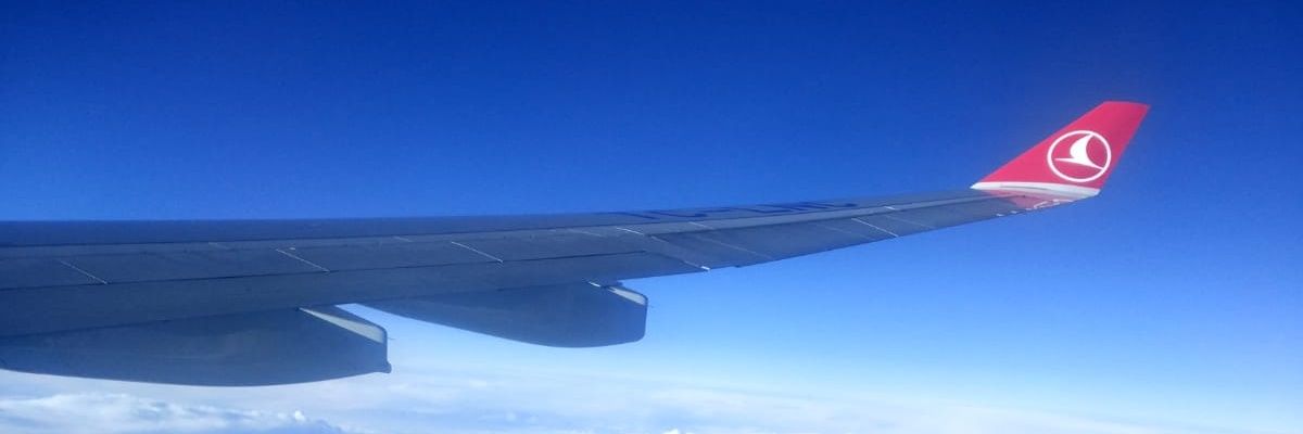 lilaless0's profile banner image