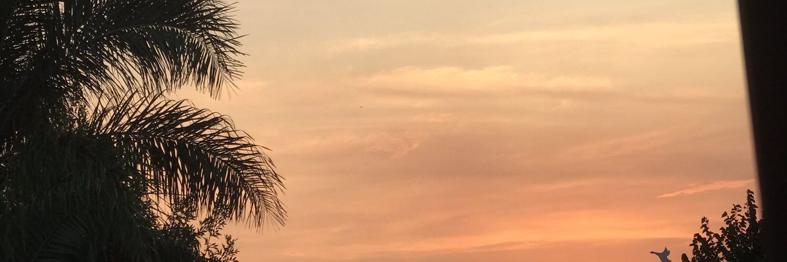 antolemos17's profile banner image